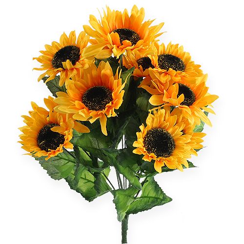 Sunflower bush 40cm