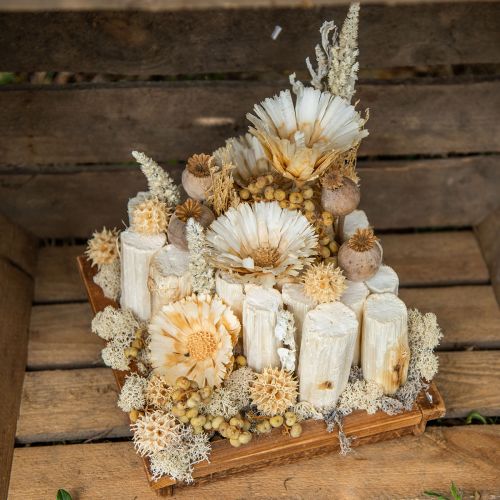 Floristik24 Sunflower stem 20cm white 12 pcs