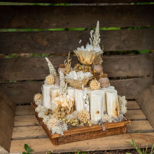 Floristik24 Sunflower stem bleached 10cm 24 pcs