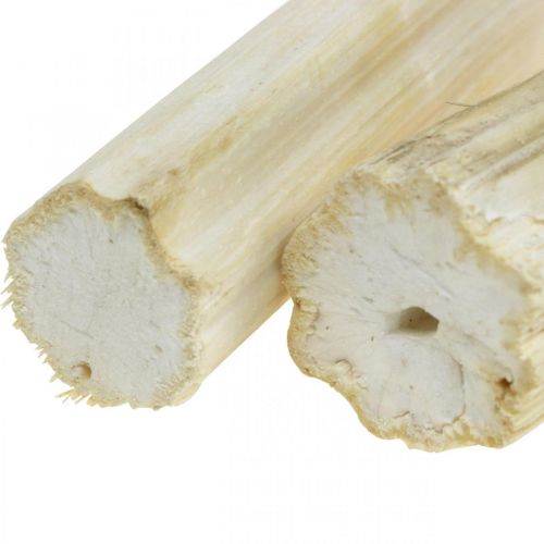 Floristik24 Sunflower stem bleached 10cm 24 pcs