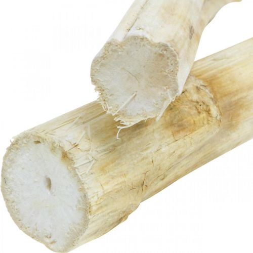 Floristik24 Sunflower stem 20cm white 12 pcs