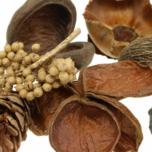 Floristik24 Exotic assortment with strobus cones nature 300g