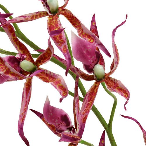 Product Spider orchids pink-orange 108cm 3pcs