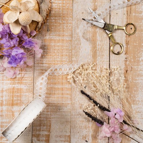 Decorative ribbon with lace, cotton, fine border, on a roll, 25mm wide, 10m long | Floristik24.ie