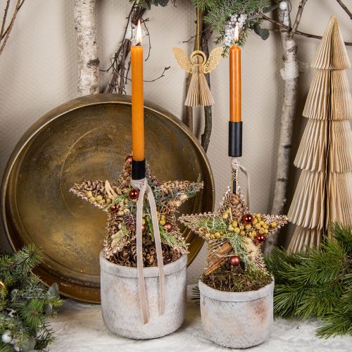 Product Dried Ginger Decoration Natural Decoration 500g