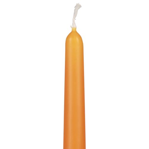 Floristik24 Taper Candles Wenzel Candles Orange 250/23mm 12 Pcs