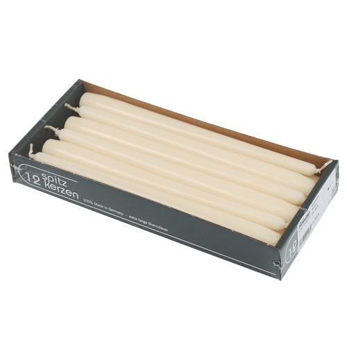Floristik24 Taper candles 250/23 cream 12pcs.