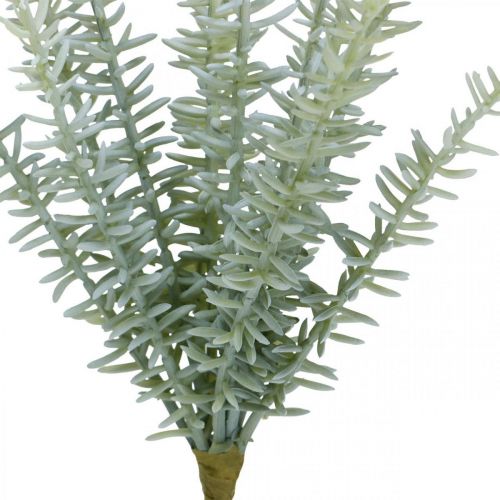 Floristik24 Sprengerie Ornamental Asparagus Artificial Plants Green 23cm 4pcs