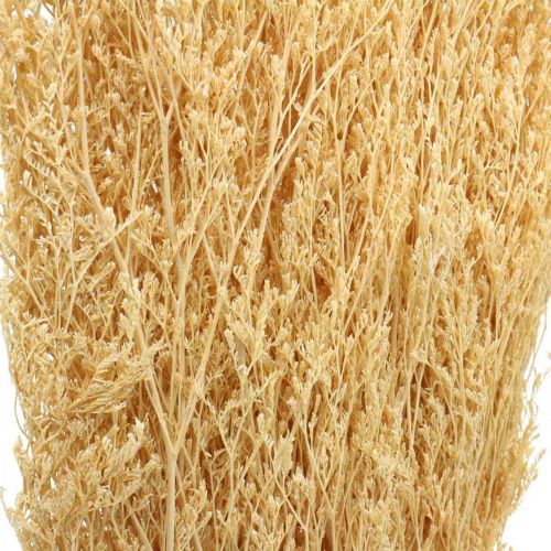 Floristik24 Dried Sea Lavender Cream Statice Dry Deco 100g