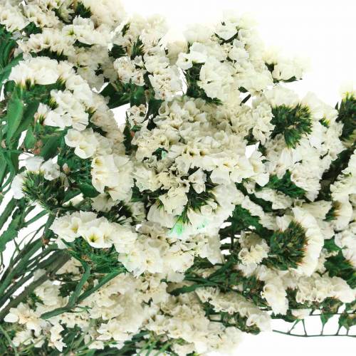 Floristik24 Bunch of dried flowers sea lavender white 40–55cm 120g