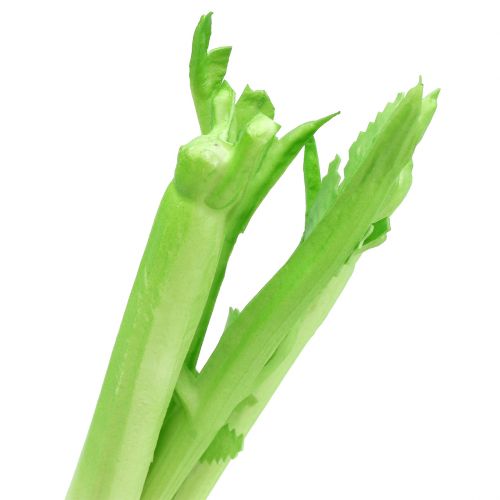 Floristik24 Celery decoration 34cm