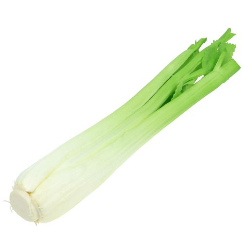 Floristik24 Celery decoration 34cm