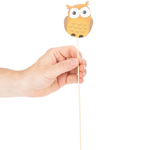Wooden owl plant stakes for flower bouquets and plant pots, 31cm, 12 pieces | Floristik24.ie