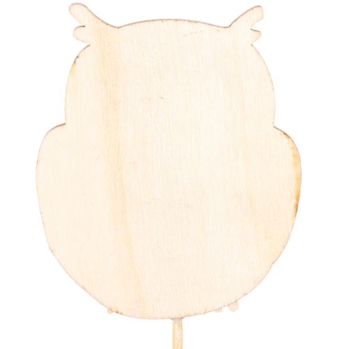 Wooden owl plant stakes for flower bouquets and plant pots, 31cm, 12 pieces | Floristik24.ie