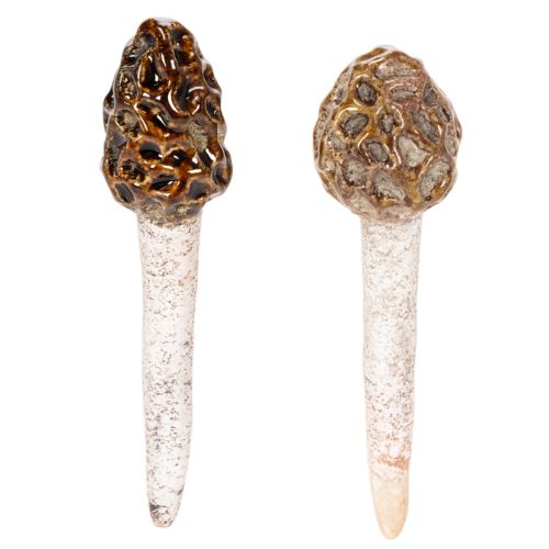 Artificial morel mushroom decorative stake for plant pots and table, 13cm, 2 pieces buy online | Floristik24.ie