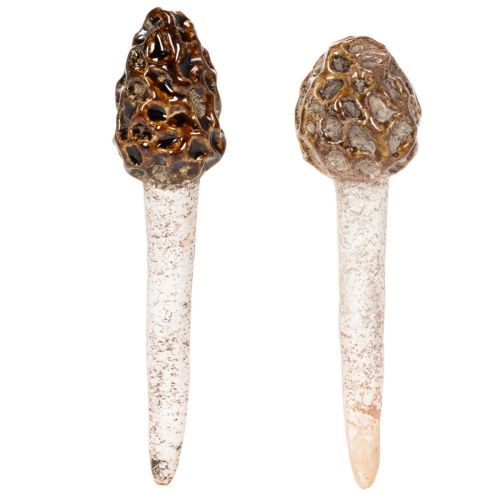 Artificial morel mushroom decorative stake for plant pots and table, 13cm, 2 pieces | Floristik24.ie