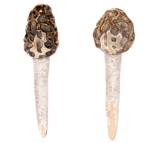 Artificial morel mushroom decorative stake for plant pots and table, 13cm, 2 pieces | Floristik24.ie