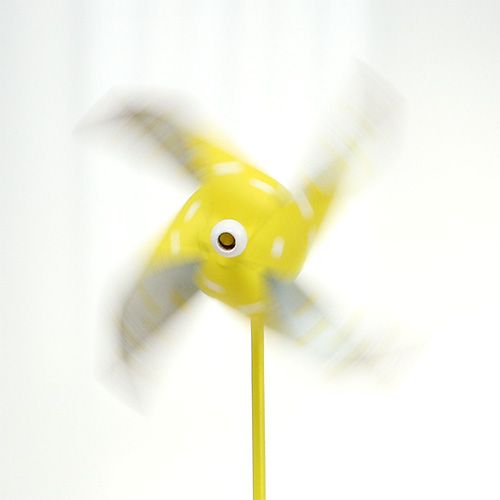 Floristik24 Plug windmill Ø9.5cm 6pcs