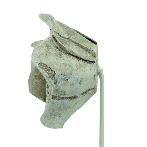 Floristik24 Plug roses assorted. Ø5.5cm L19cm 4 pieces