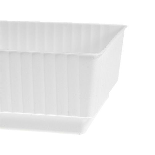 Floristik24 Socket bowl Lara 15cm x 8cm x 4cm 10pcs