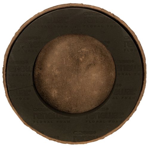 Floral foam ring with base OASIS® Renewal® Floral Foam Biolit® 38cm 2pcs buy online | Floristik24.ie