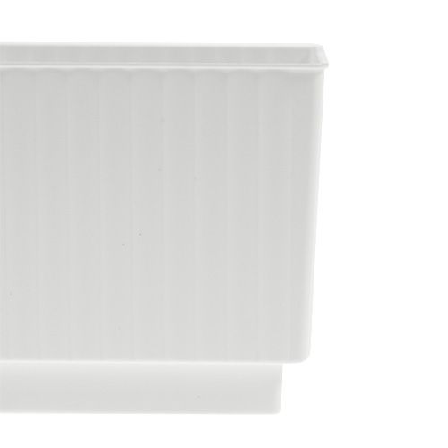 Product Cube for floral foam 6.5cm white 20pcs