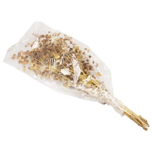 Product Dried flowers decoration branches Stefani branch 95cm 200g