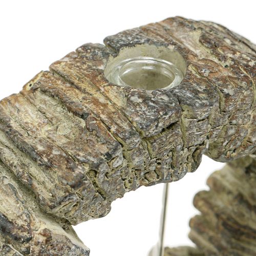 Floristik24 Concrete vase with test tube ring Ø16cm