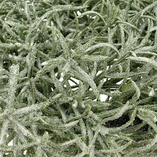 Floristik24 Decorative wreath Ø30cm with glitter green