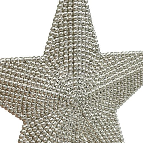 Product Star silver to hang 11cm L19cm 6pcs