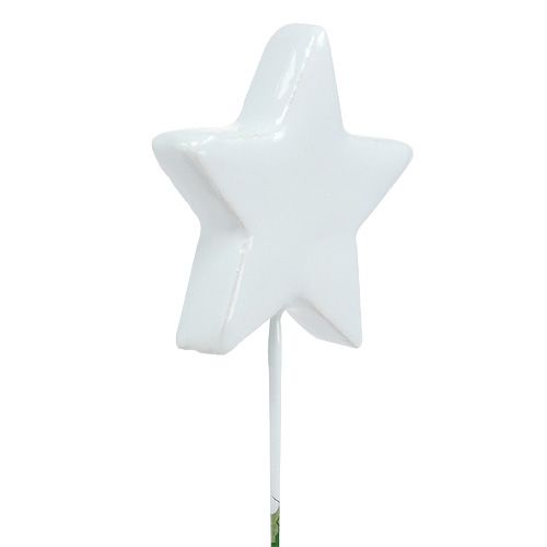 Floristik24 Star on wire 5cm white 48 pcs
