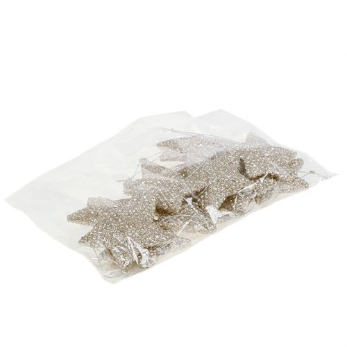 Floristik24 Star with mica champagne 7.5cm 12pcs
