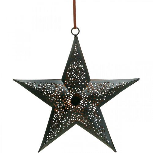 Product Christmas hanger Star Metal Star Black H19cm