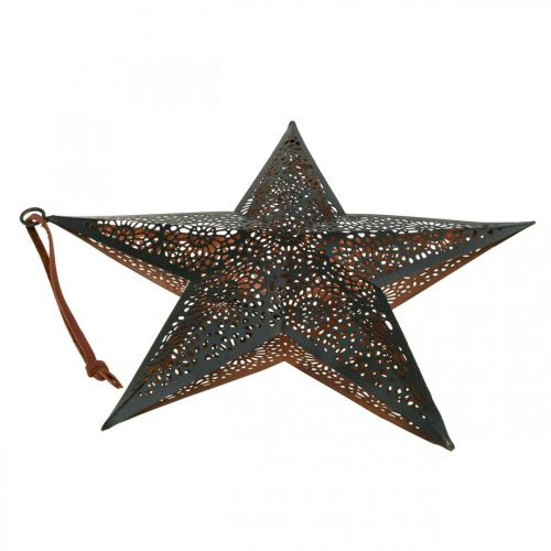 Product Christmas hanger star metal star black H25.5cm