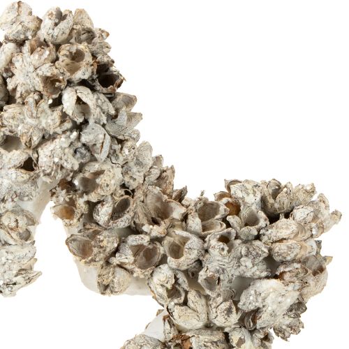 Product Star to hang up Christmas decoration white, glitter Ø15cm