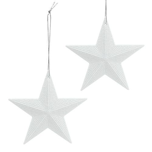 Floristik24 Star to hang white 11cm L19cm 6pcs