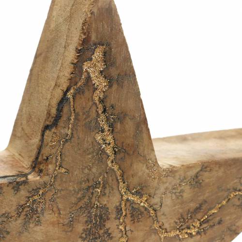 Floristik24 Poinsettia standing mango nature, golden 20 × 20 × 3.5cm