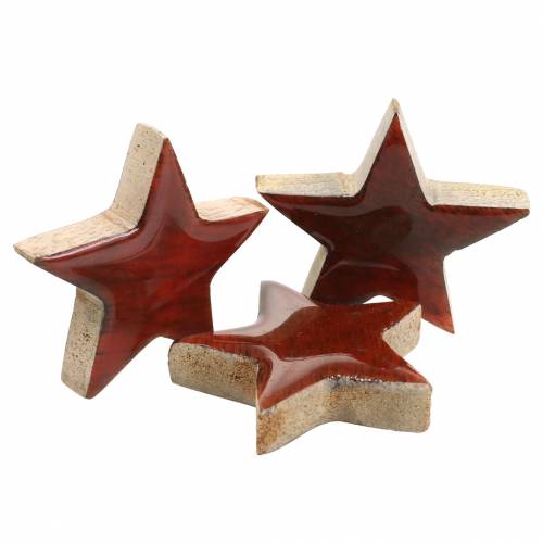 Floristik24 Scatter decoration star mango red lacquered 5×5cm 16 pcs