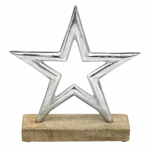 Floristik24 Star to set up Mango, metal silver 21 × 16.5cm