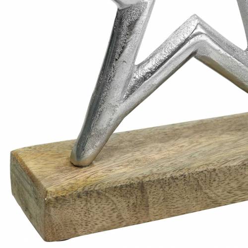 Floristik24 Star to set up Mango, metal silver 21 × 16.5cm