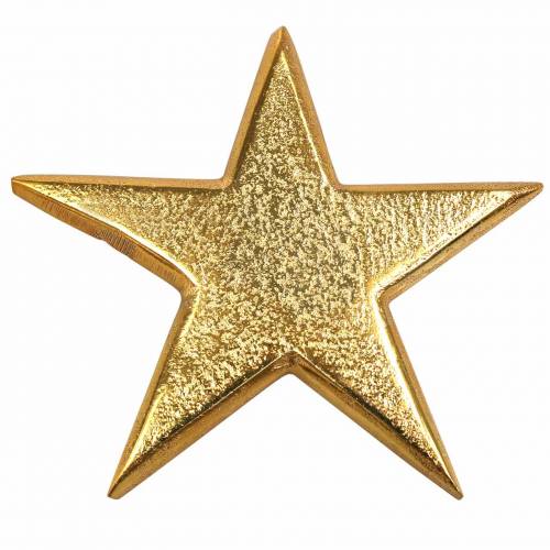 Floristik24 Metal stars golden 7.8×7.4cm/6.4×6.2cm 8 pcs