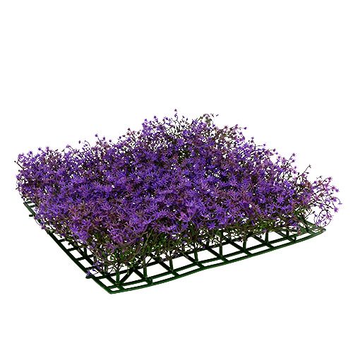 Floristik24 Star Flower Mat 25cm x 25cm Purple