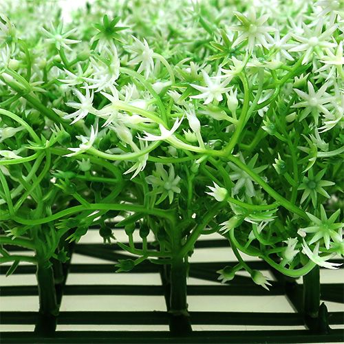 Floristik24 Star flower mat 25x25cm cream