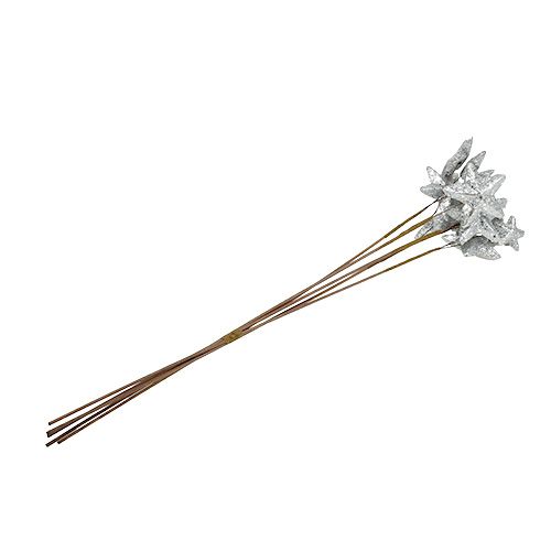 Floristik24 Stars on the stick silver 60cm 5pcs.