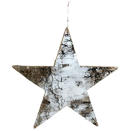 Floristik24 Birch bark stars white 29cm 3pcs
