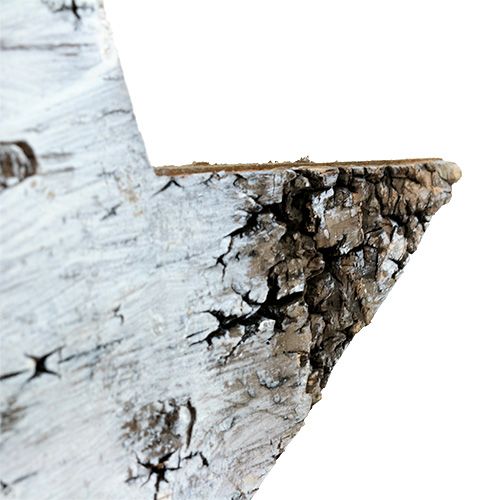 Floristik24 Birch bark stars white 29cm 3pcs