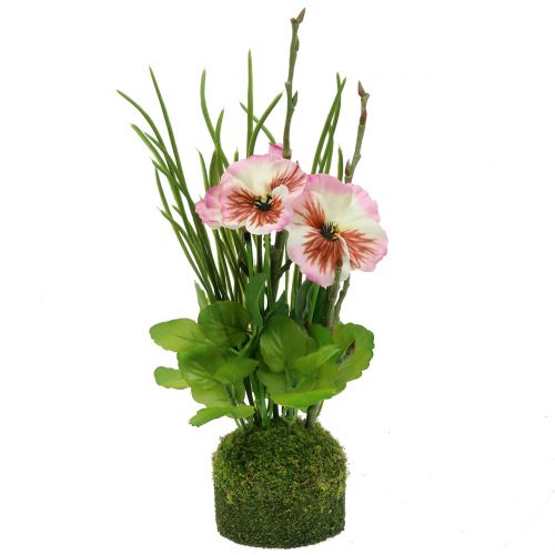 Floristik24 Pansy with moss ball pink 31cm
