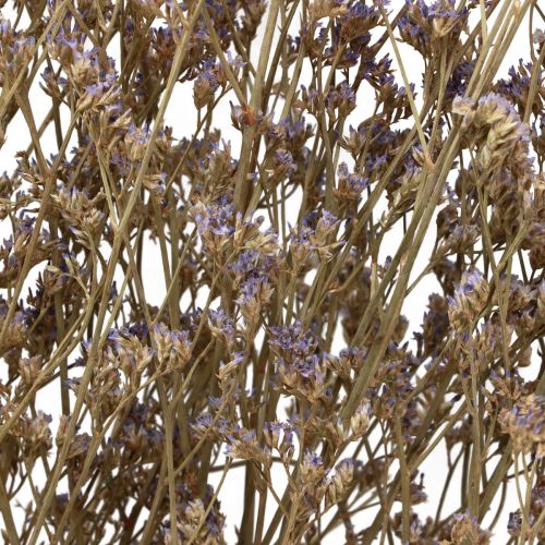 Product Sea lavender (Limonium) dried flowers, purple, 70cm, 50g, decoration, natural product