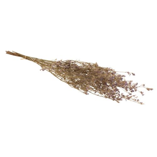 Product Sea lavender (Limonium) dried flowers, purple, 70cm, 50g, decoration, natural product