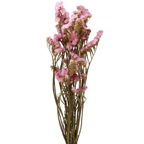 Beach Lilac Pink Limonium Dried Flowers 60cm 50g